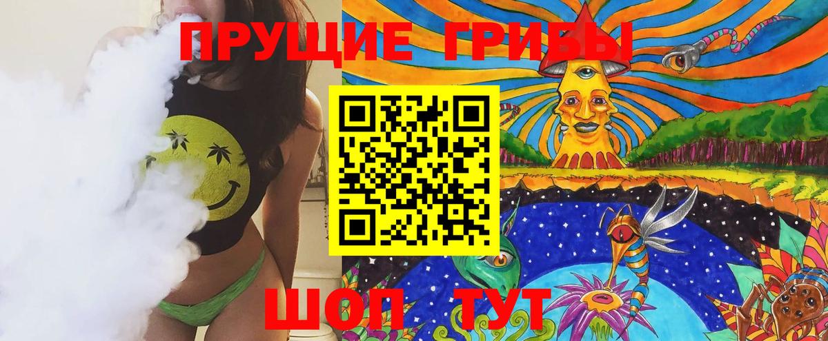Тамбов  Галлюциногенные грибы Psilocybine cubensis  Вход с VPN  Псилоцибиновые грибы Psilocybe 